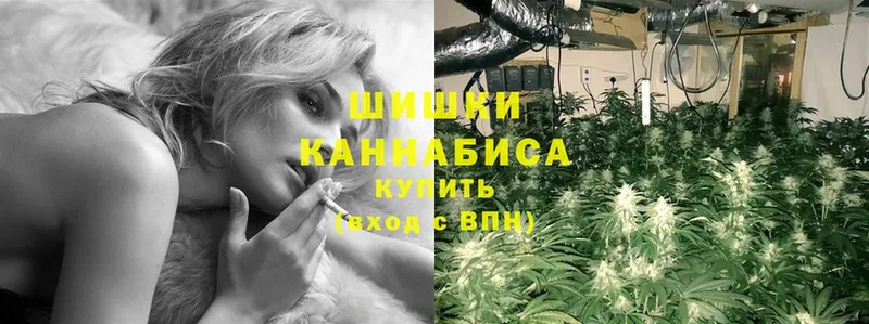 где можно купить   Кукмор  Шишки марихуана VHQ 